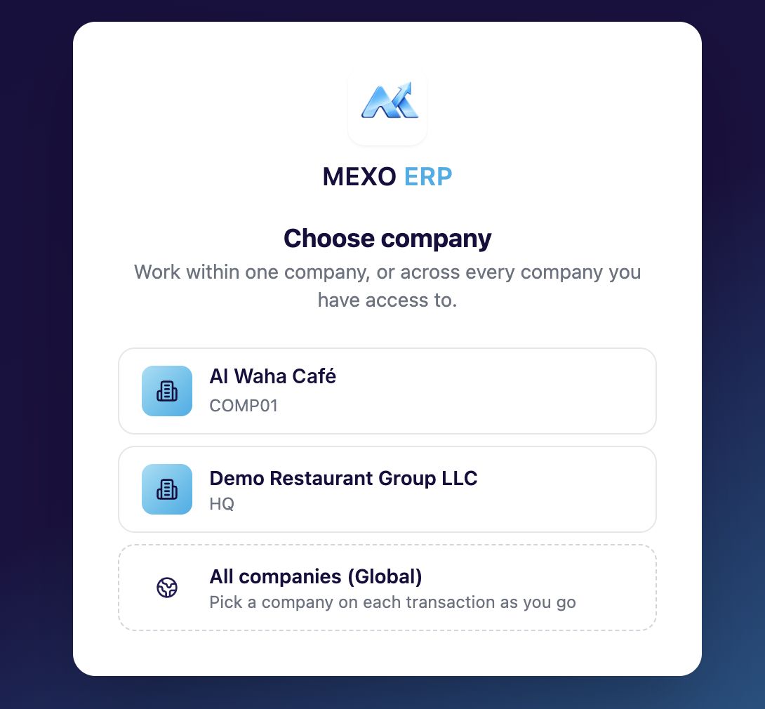 Choosing a company in Mexo ERP